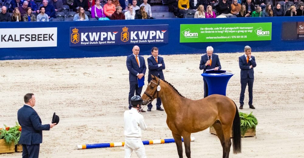 KWPN-Stallion-Show-2026-Avantea