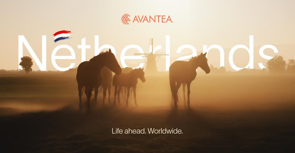 netherlands-avantea